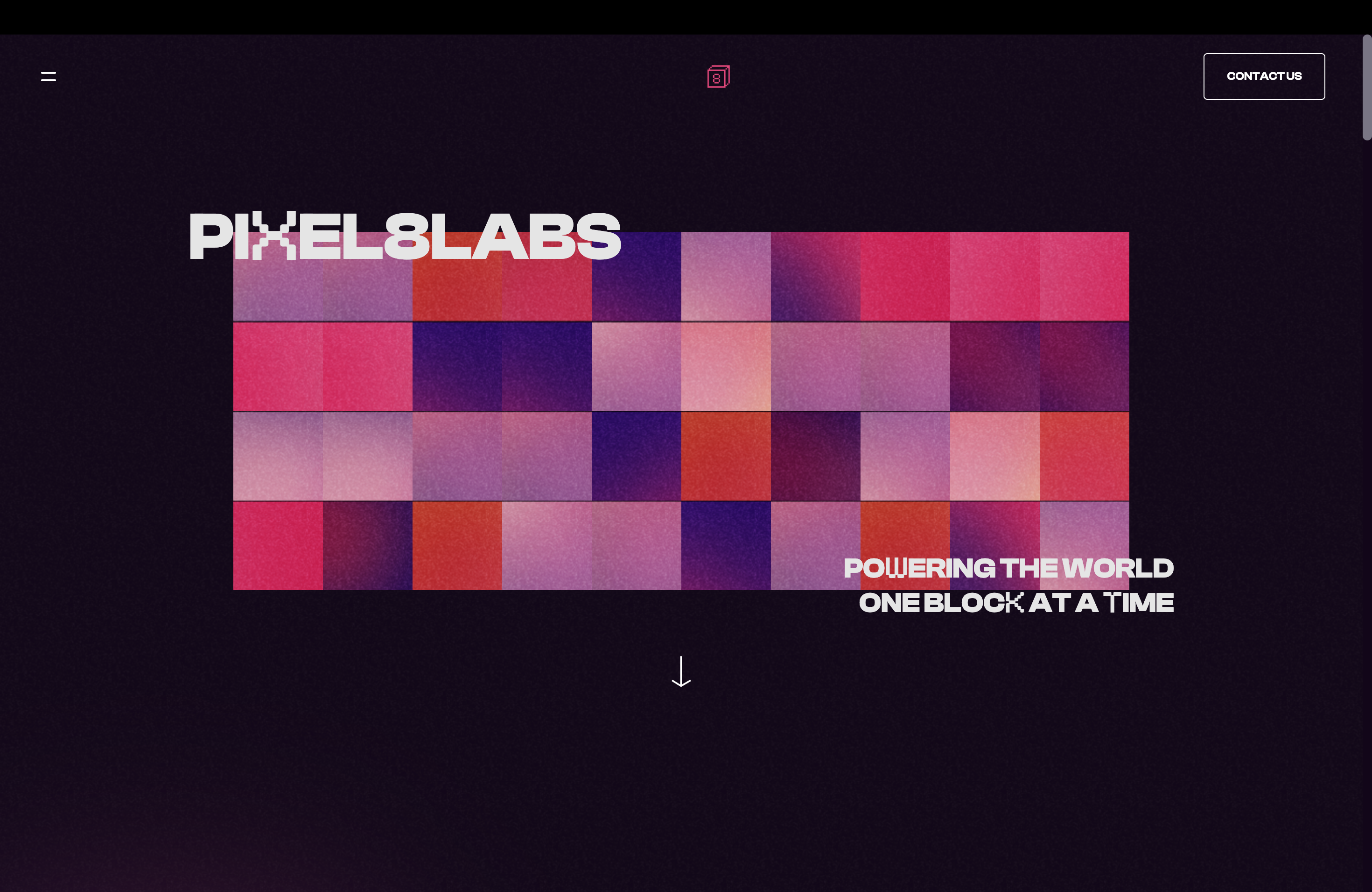 Pixel8Labs Landing screenshot